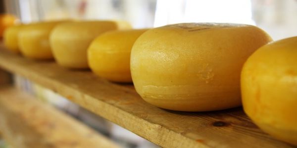 In The City Of Gouda, Dutch Cheesemakers Worry About US Tariffs