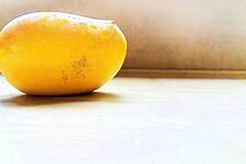 Egypt's Mango Crop Shrivels In Heat Wave