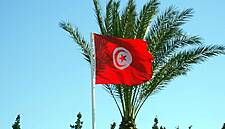 Groupe Avril Launches 100% Tunisian Rapeseed Oil Project