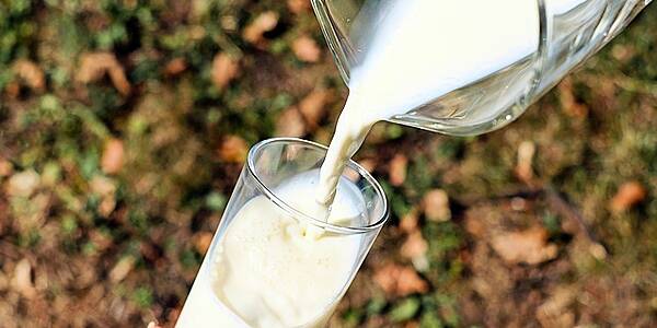 Supply Drop Pushes Brazilian Milk Prices Up