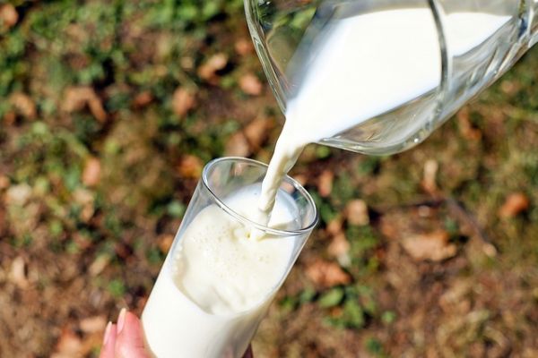 Supply Drop Pushes Brazilian Milk Prices Up