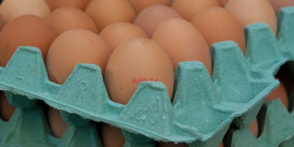 Slovenia's Tuš To Stop Sales Of Eggs Produced In Cages