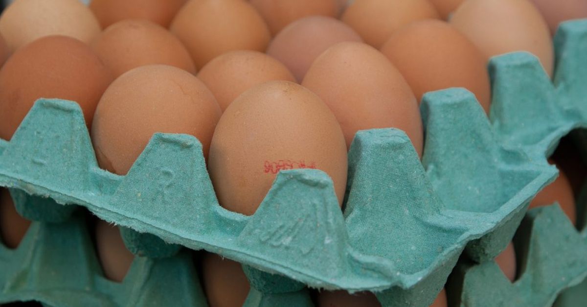 LDC français en pourparlers avec Avril pour acquérir le commerce des œufs