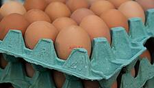 Egg Supply Tightens In Poland As EU Bird Flu Crisis Hits Industry