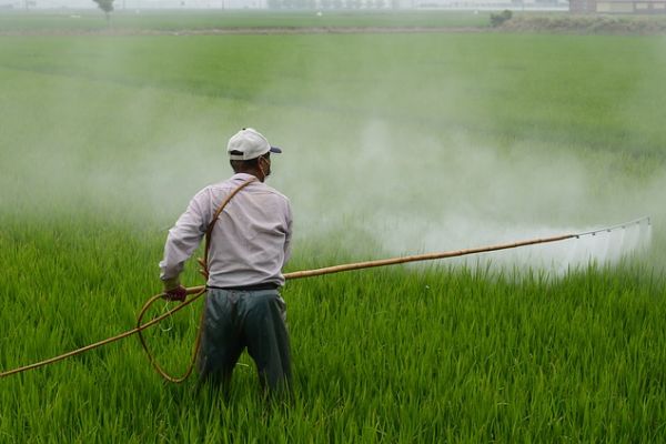 How Pesticide Fears Can Make Americans Less Healthy