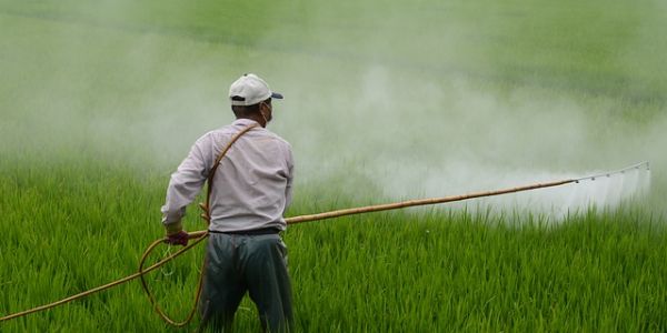 How Pesticide Fears Can Make Americans Less Healthy