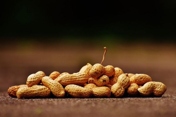 Nestlé Acquires Peanut Allergy Treatment Maker, Aimmune Therapeutics