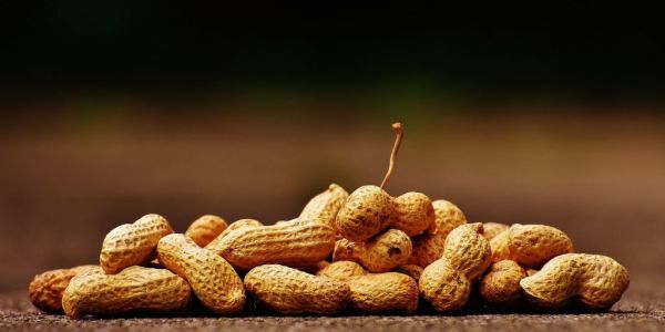 Nestlé Acquires Peanut Allergy Treatment Maker, Aimmune Therapeutics