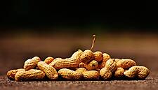 Nestlé Acquires Peanut Allergy Treatment Maker, Aimmune Therapeutics