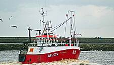On Cusp Of Brexit Trade Deal, EU And UK Talks Snag On Fishing