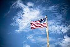 Strong Convenience Sales Fuel US Retailer Optimism