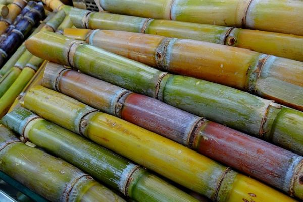 Sugar Breakthrough Paves Way For Indonesia-Australia Trade Deal