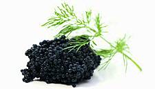 Caviar Infusion From Pernod Ricard's Paris Lab Aims To Refresh Vodka