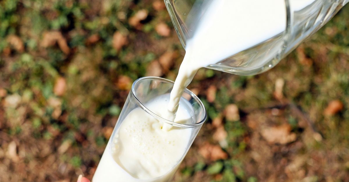 Président Profesional Leche Condensada sobre 25 gr - Lactalis