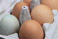 Easter Eggs Get Costlier As US Shoppers Scramble To Stock Up