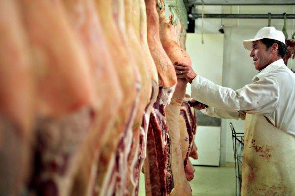 Meat Beats Wheat: Cattle, Hogs Soar To Records As Grain Falters