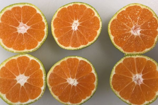 Tesco Sells Green Satsumas And Clementines To Cut Food Waste
