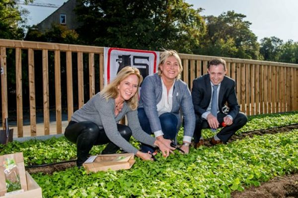 Delhaize Opens Rooftop Farm In Belgian Store