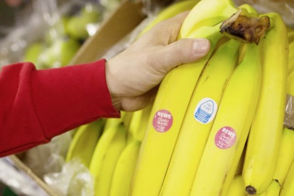 Rewe Sells Unpackaged Bananas To Cut Down On Plastic Waste