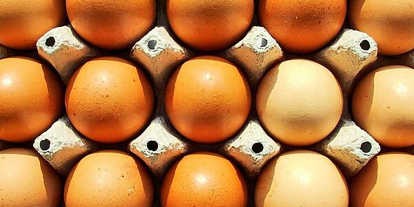 Italy Faces Potential Egg Shortage Ahead Of Christmas