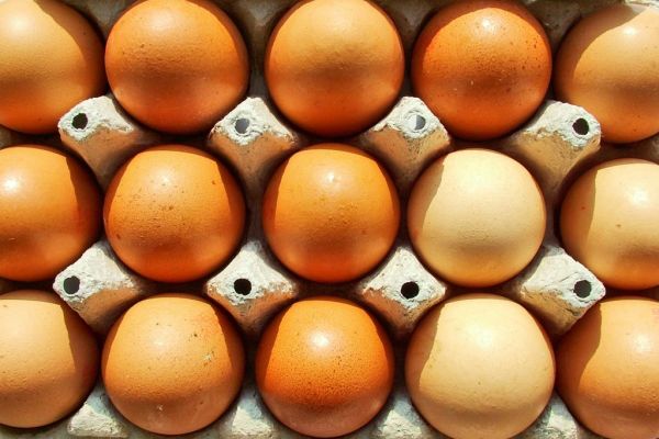 Maxima Grupė Commits To Cage-Free Eggs By 2025