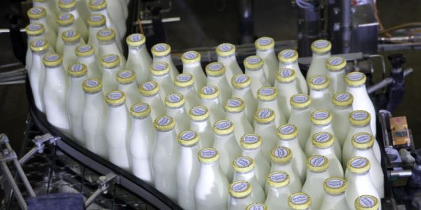 Friesland Campina Announces ‘Reorientation’ Of Germany Business