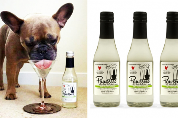 Tesco Introduces Pet-Friendly 'Pawsecco'