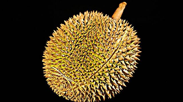 Scientists In Singapore Transform Fruit Leftovers Into Antibacterial Bandages