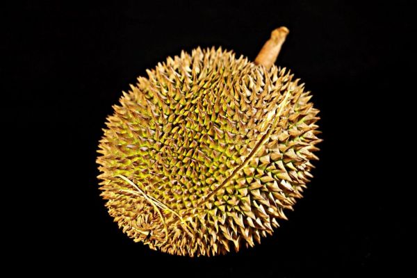 Sales Of Durian Fruit Skyrocketing In China