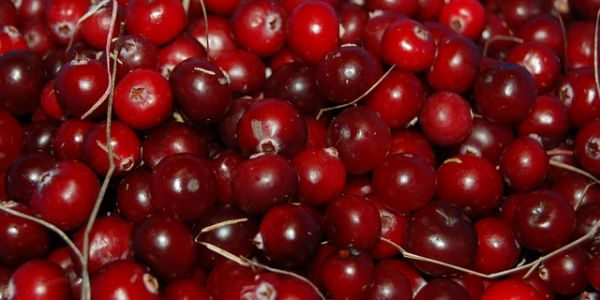 US Cranberry Industry Is Early Casualty Of Incipient Trade War