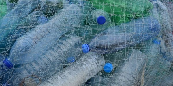Plastic-Eating Enzyme Holds Promise In Fighting Pollution, Study Finds