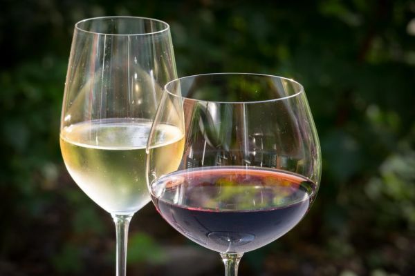 German Wine Production Grows 38% In 2018: Destatis