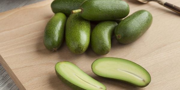 Marks & Spencer Launches Stoneless Avocado
