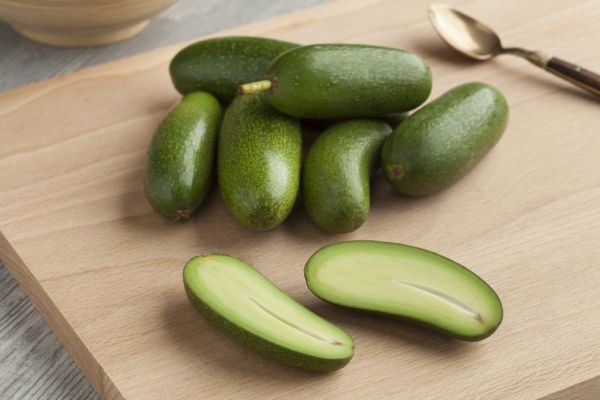 Marks & Spencer Launches Stoneless Avocado