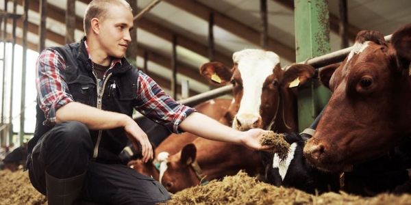 Exports Drive Sales Growth At Finnish Dairy Firm Valio