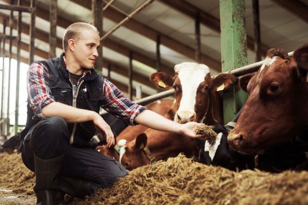 Exports Drive Sales Growth At Finnish Dairy Firm Valio
