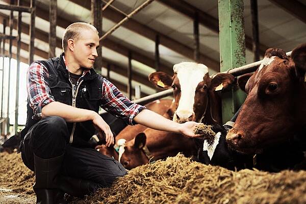 Exports Drive Sales Growth At Finnish Dairy Firm Valio