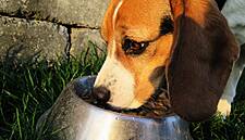 J.M. Smucker Cuts Full-Year Forecast On Weak Pet Food Demand