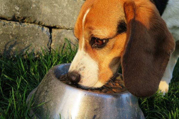 J.M. Smucker Cuts Full-Year Forecast On Weak Pet Food Demand