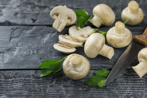 German Mushroom Harvest Increases By 2% In 2023: Destatis