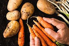 German Traders Oppose EU's Genetic Engineering Reforms Plan