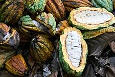 Ivory Coast Sells 2021/2022 Cocoa Contracts At 'Country Discount'
