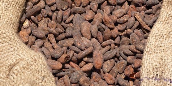 Cocoa Among Top Commodity Gainers In 2018