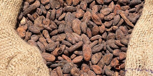 Ghana's COCOBOD To Sign $1.3bn Syndicated Loan Agreement