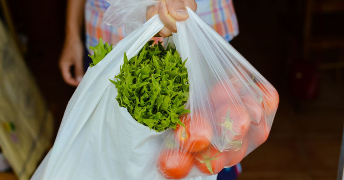 Lidl Auchan Offer Alternatives To Plastic Bags In Portugal ESM