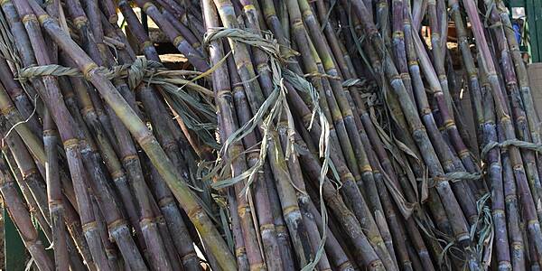 Brazil Mills Likely To Delay Cane Harvest Due To Weather, Ethanol Stocks