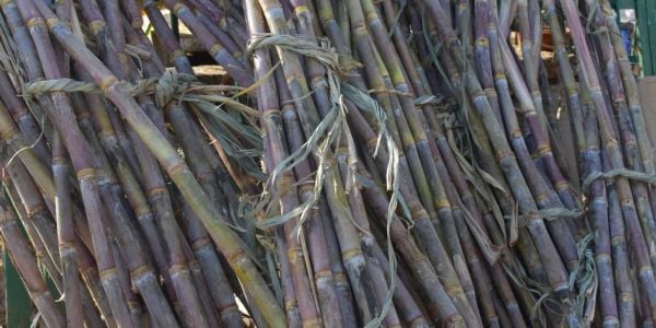 Brazil's Sugarcane Crushing Down 7.9% In Late June