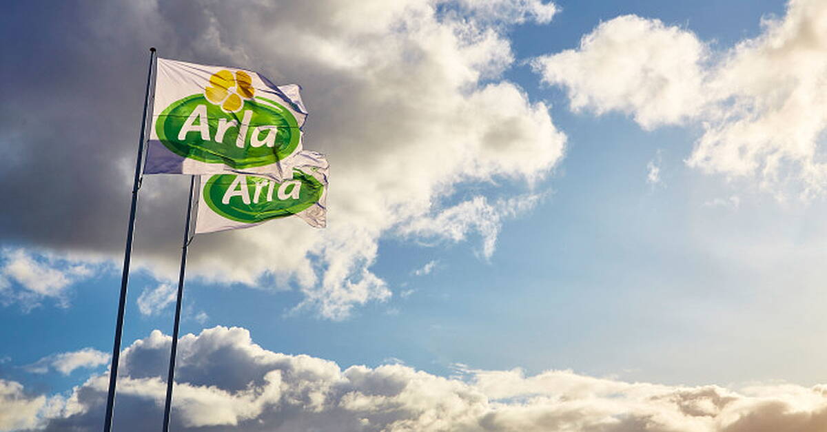 Arla Germany Arla Sells Cheese Factory In Germany To Vache Bleue In Belgium | ESM ...