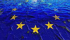 German Retailers Urge Employee Participation in European Elections