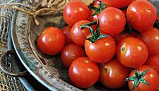 French Agency Warns Of Virus Threatening Tomatoes, Peppers